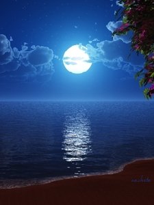 moon 240 320
