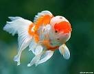 images013