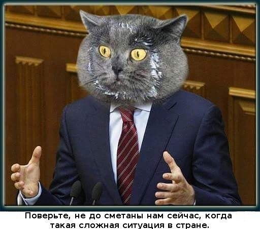 image-42