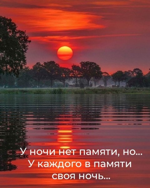 Своя ночь