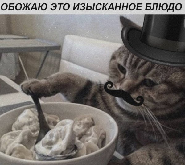 IMG 20260522 022650 066