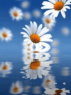 file_65272973