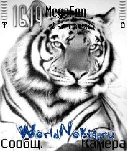 white-tiger-06-71007