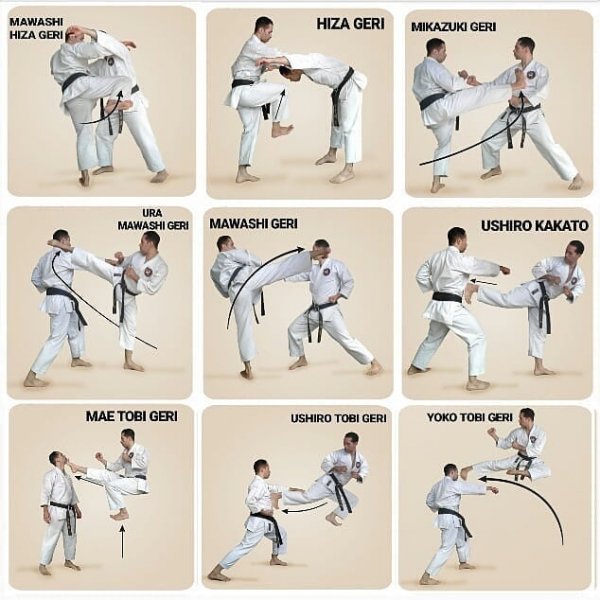 karate arte