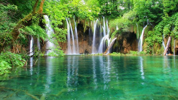 file_103090725