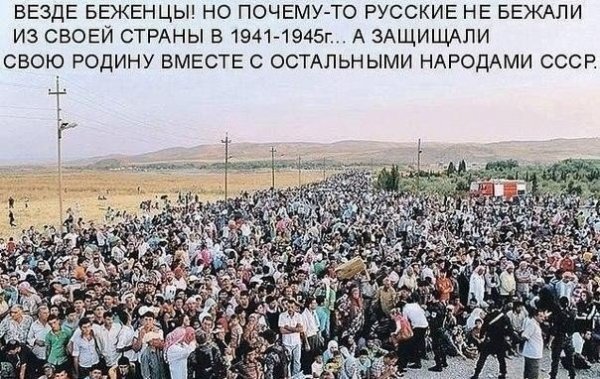 беженцы