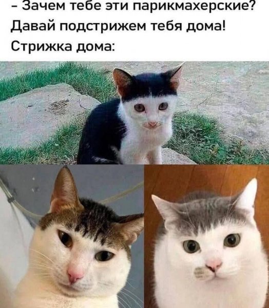 file_100119367