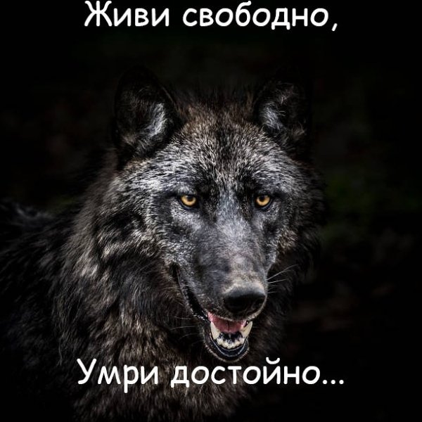 Одиночество