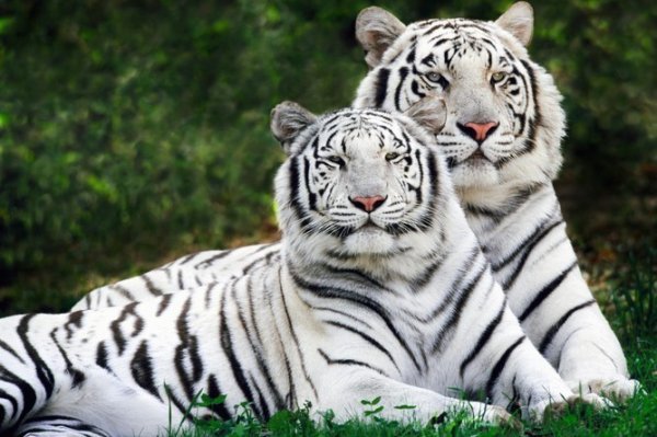 photo 1544647962