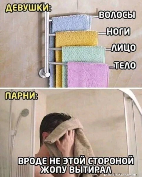 file_93038411