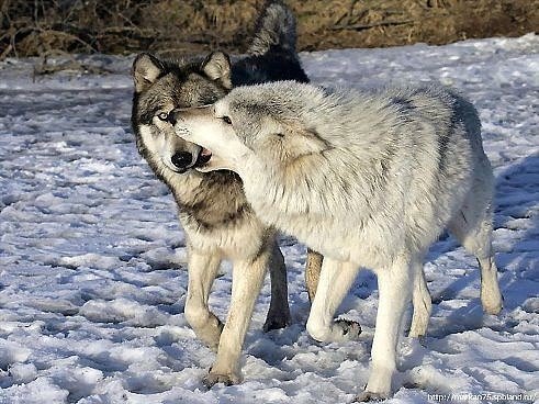 photo 1553583127