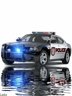 Police ani