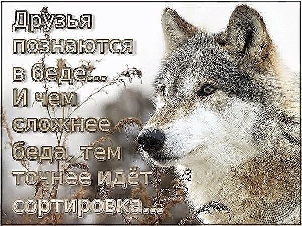 Помни