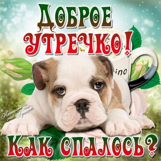 Доброе утречко