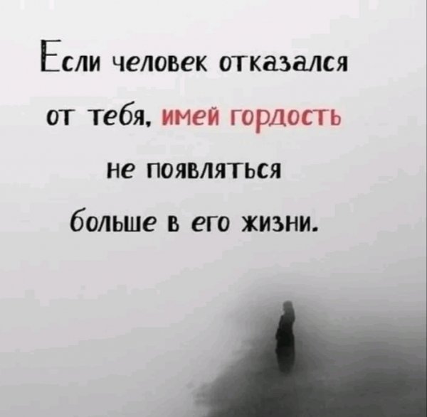 IMG 20260221 020750