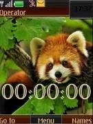 red-panda swf