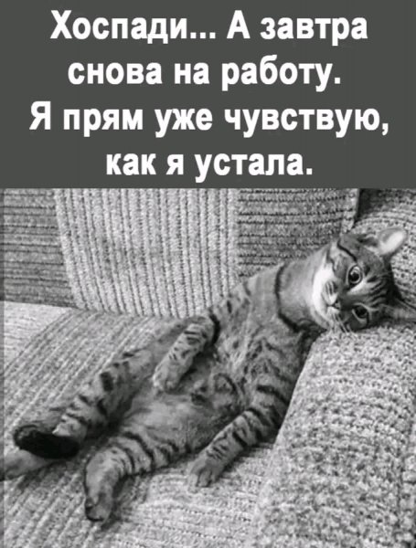 file_103465570