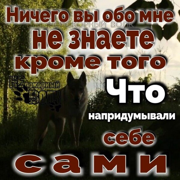 IMG 20241109 024215