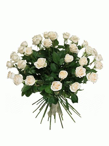 file_85269000