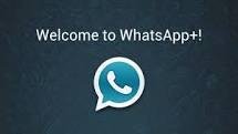 WhatsApp+ v5.40 2.11.186
