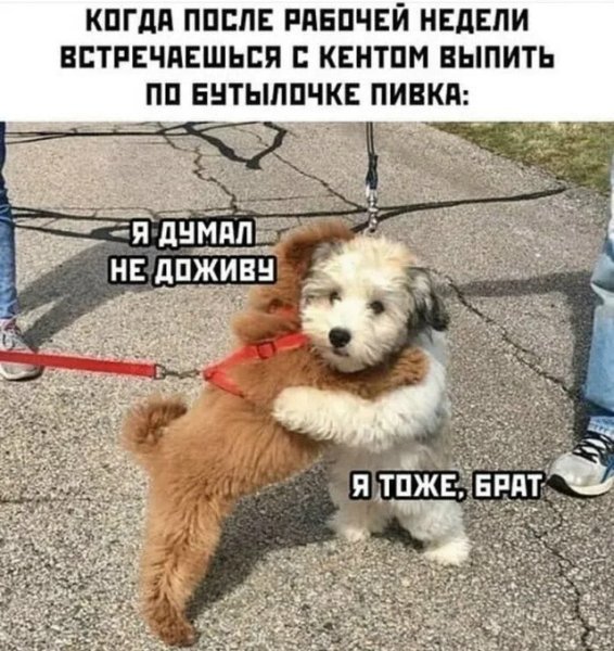 file_103065065