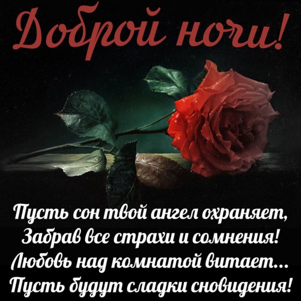 Доброй ночи