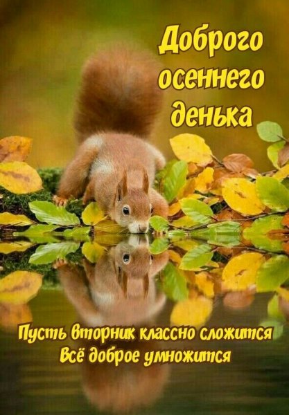 file_91899415