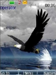 eagle