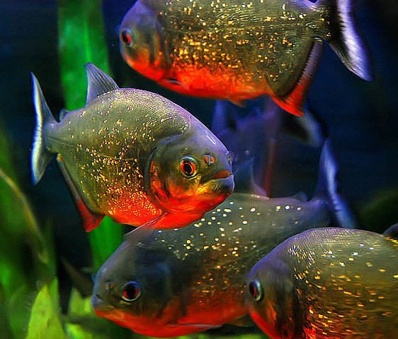 IMG 20190920 175907