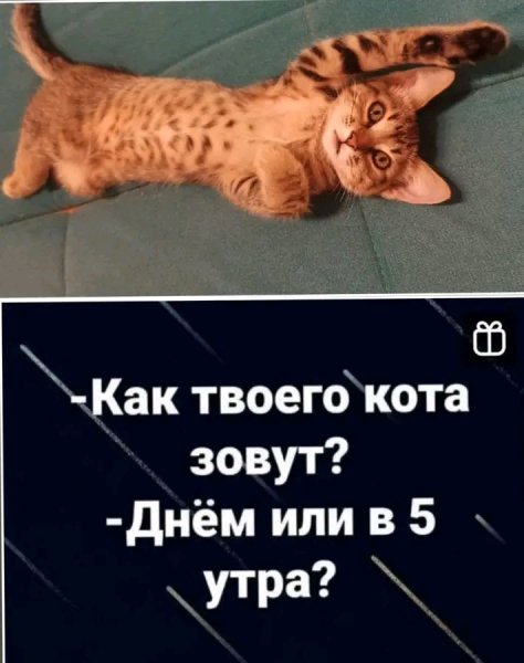 file_103442071
