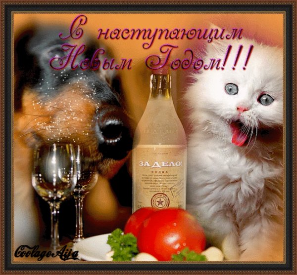 72bdef88b553309da862e7dbe2f00aa2