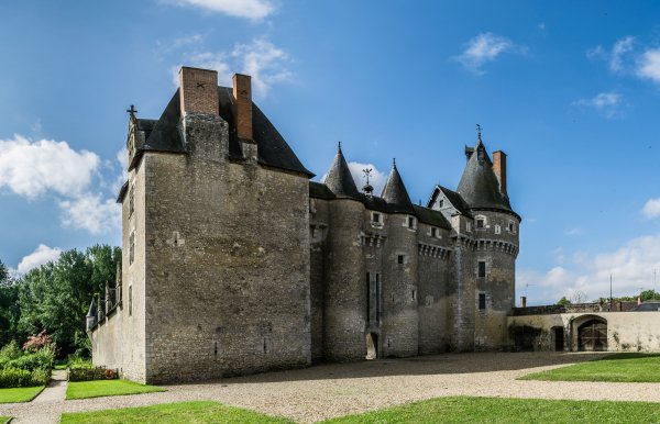 Castle of Fougeres-sur-Bievre 10