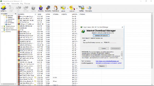Internet Download Manager 6.38.22 и серийный номер