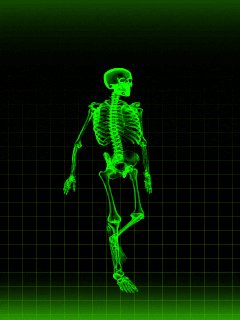 GIF-240x320