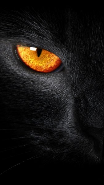 wallpaper20
