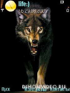 The Wolf