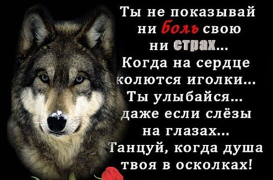 Сильный человек