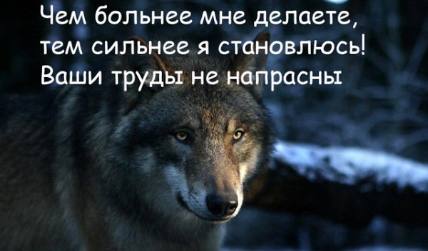 Ваши труды