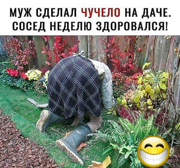 file_103352679