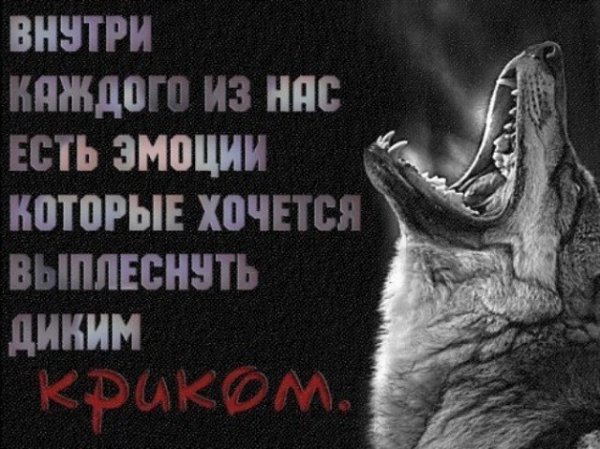 Эмоции