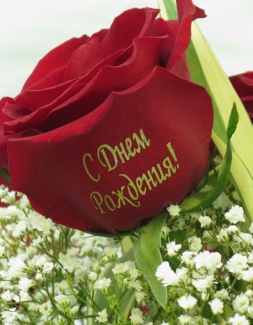 file_23833509