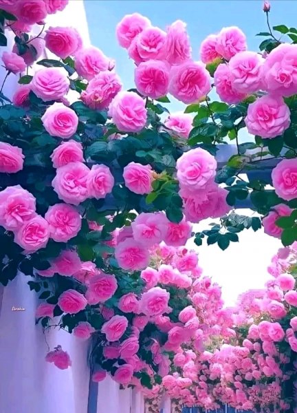 file_96141504