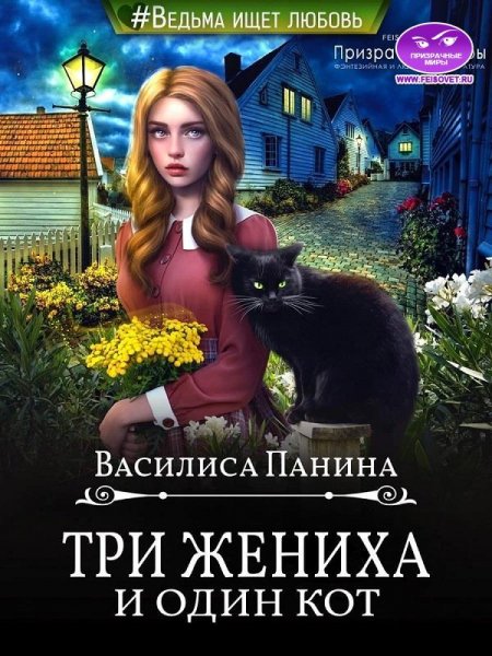 ТРИ ЖЕНИХА И ОДИН КОТ. ВАСИЛИСА ПАНИНА
