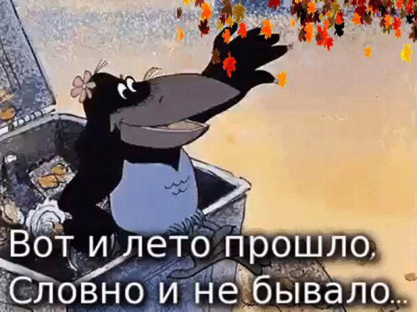 Vot i leto proshlo 20 29172347