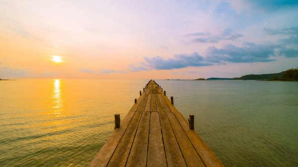 file_96434612