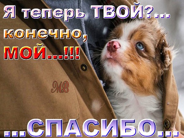 IMG 20170702 142900 0