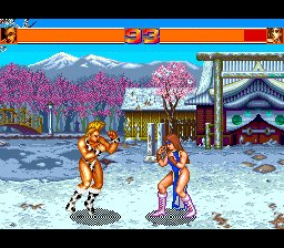 Strip Fighter II J