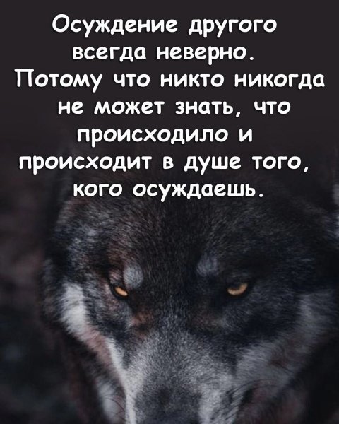 IMG 20260522 173332