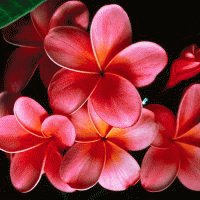 file_85268895