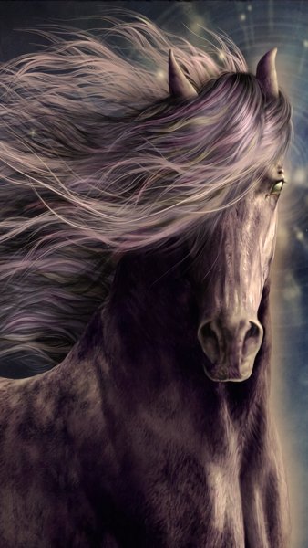 horse-wallpaper-11124865